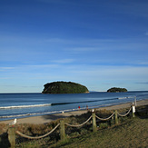 Small Longboard magic, Whangamata Beach