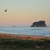 Sunrise light, Mount Maunganui