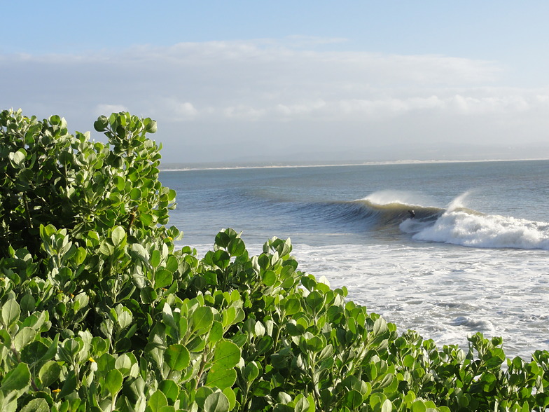 Point surf break