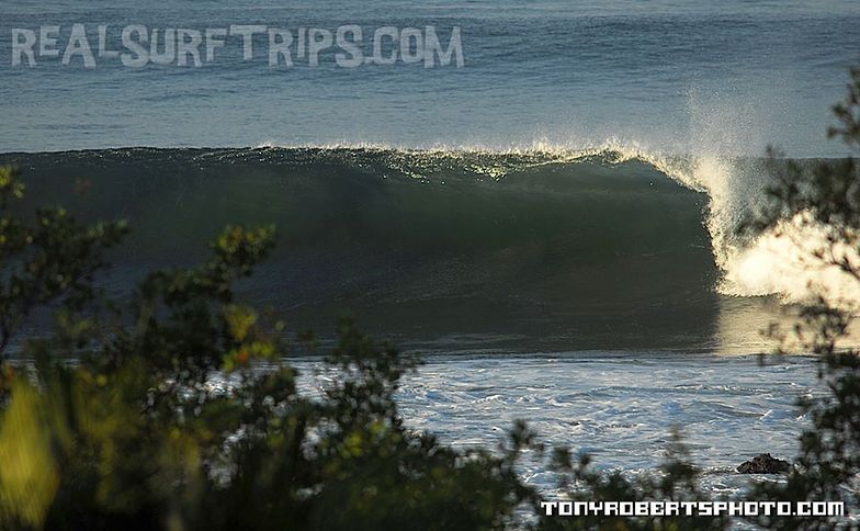 A Real Surf Vacation