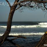 Surfing Costa Rica