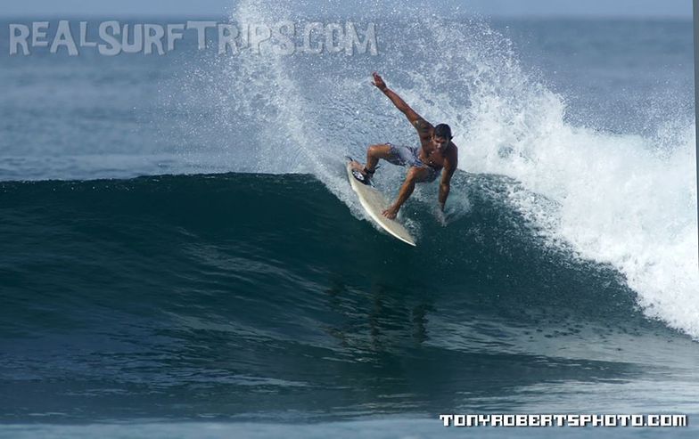 Real Surf Trips 