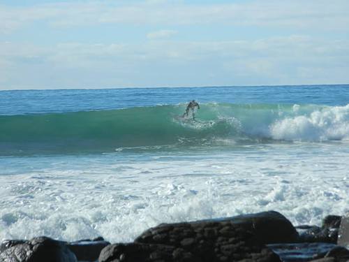 Surfing portland Clearance