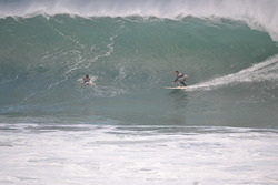 Winki Express, Winkipop photo