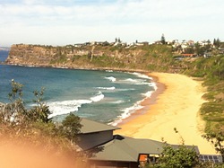 Bungan Beach photo