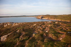 Goulien photo