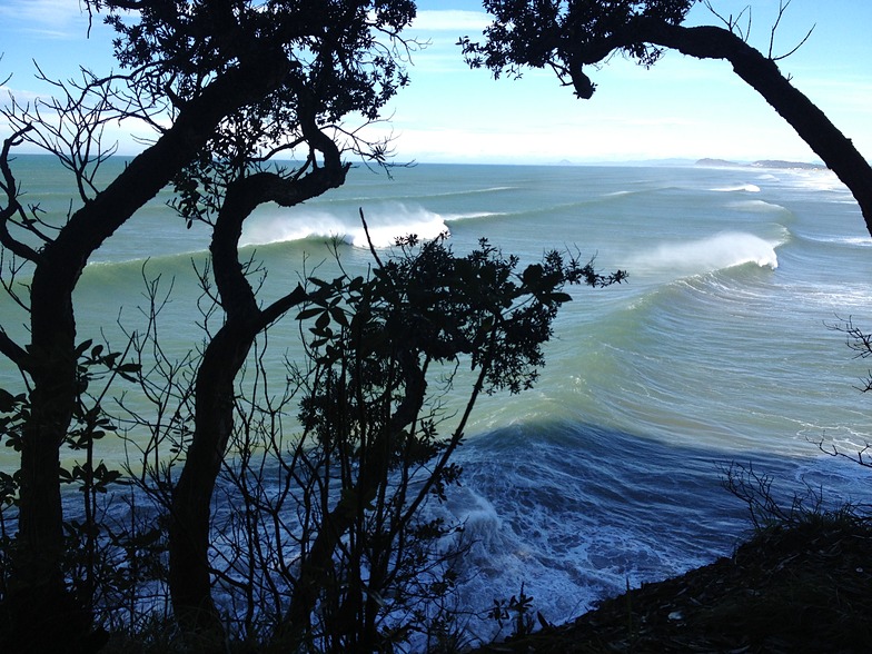 locals only, Waihi Beach