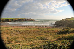 Cable Bay photo