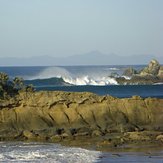 swell, Tawharanui