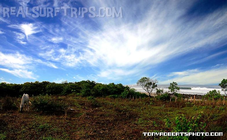 Surfing Costa Rica