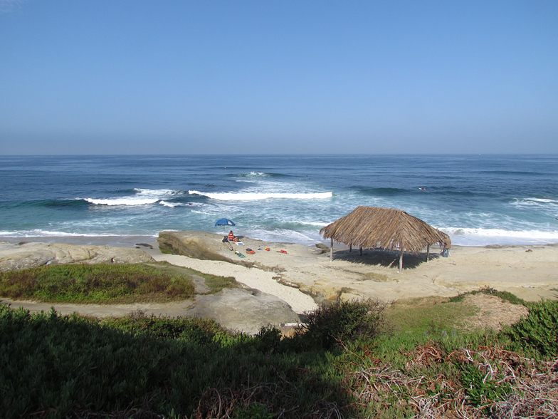 Windansea surf break