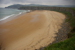 Ajo photo