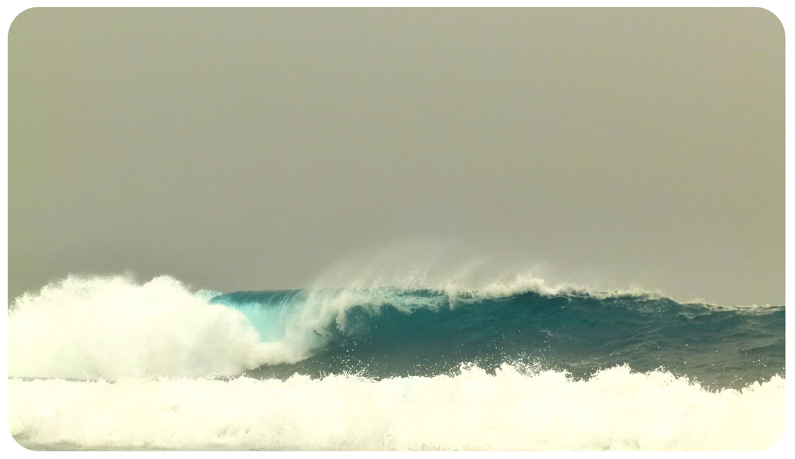 Tongo Reef-