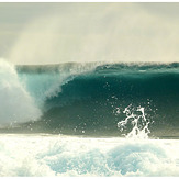 Incredible Wave, Tongo Reef