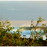 Seeing Behind, Tongo Reef