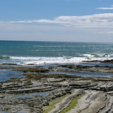 1km East of Aurora Point, Table Cape Reefs