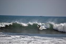 surfing Sunrise photo