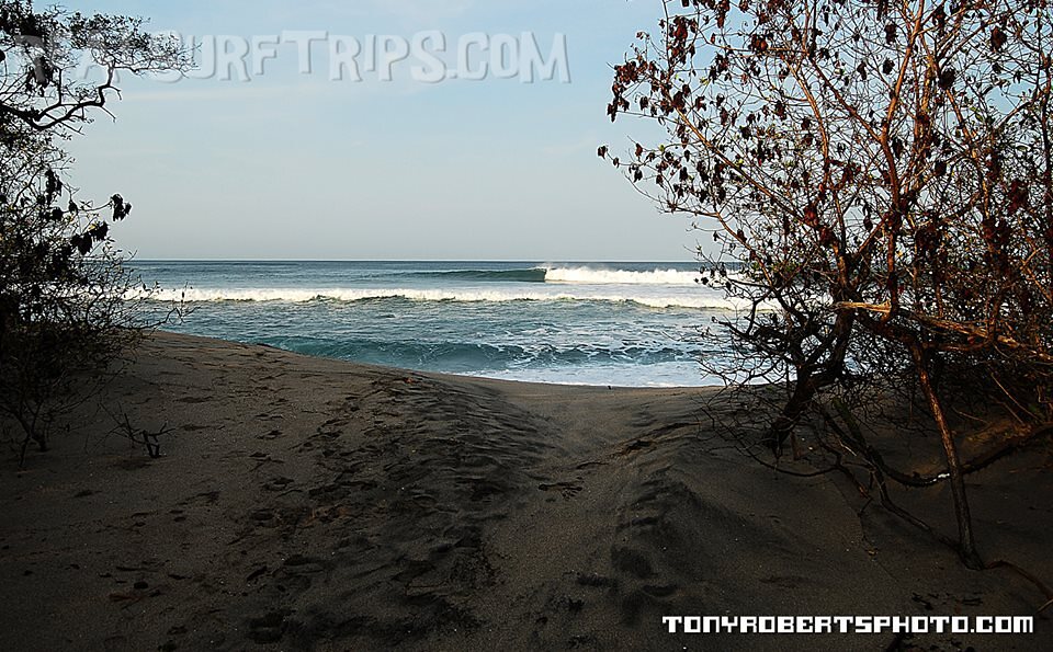 A Real Surf Vacation