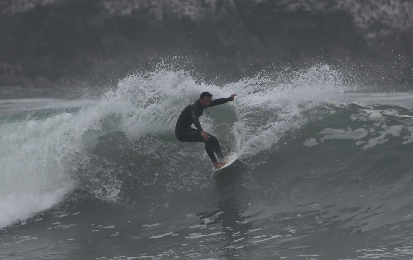 Brazilian visitor, Puerto Viejo