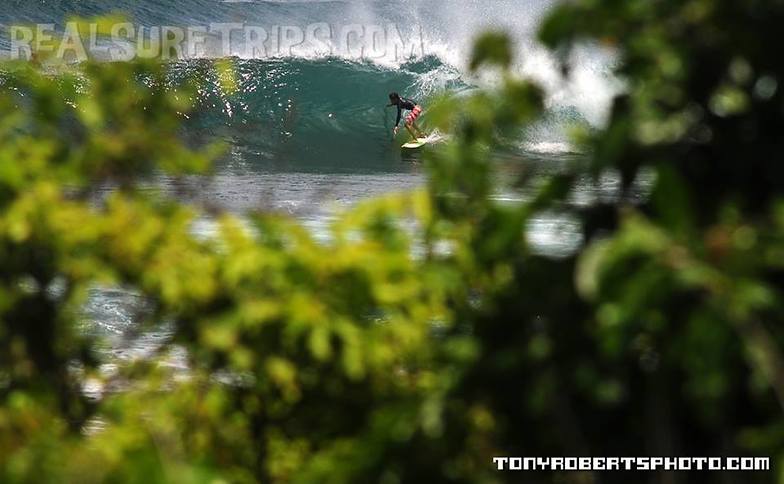 Surfing Costa Rica