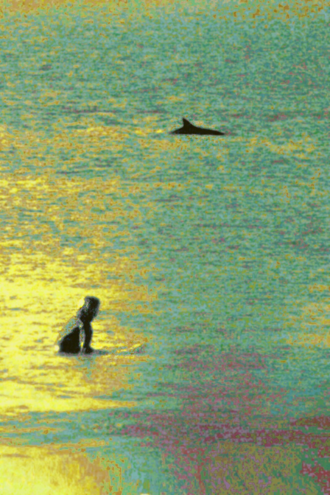 Ocean Buds, Trestles