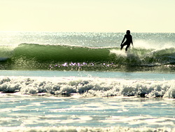 Glass shories, Castlepoint Beach photo