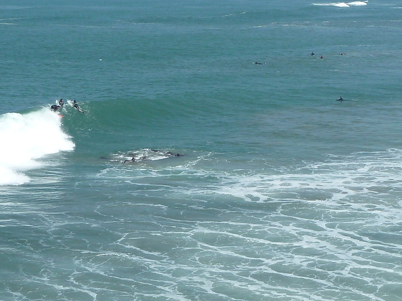 Tarnos - La Digue surf break