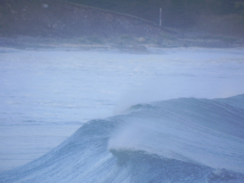 Choppy, Kennington Cove