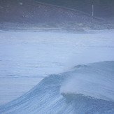 Choppy, Kennington Cove