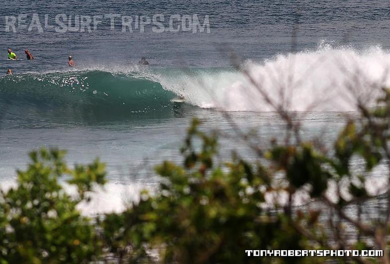 Surfing Costa Rica