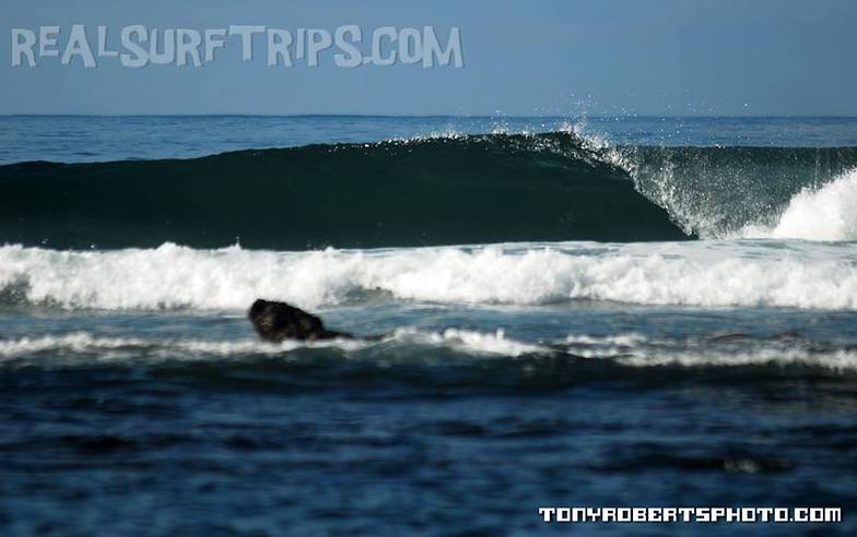 Surfing Costa Rica