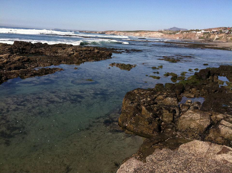 Campo lopez, Campo Lopez (K-55)