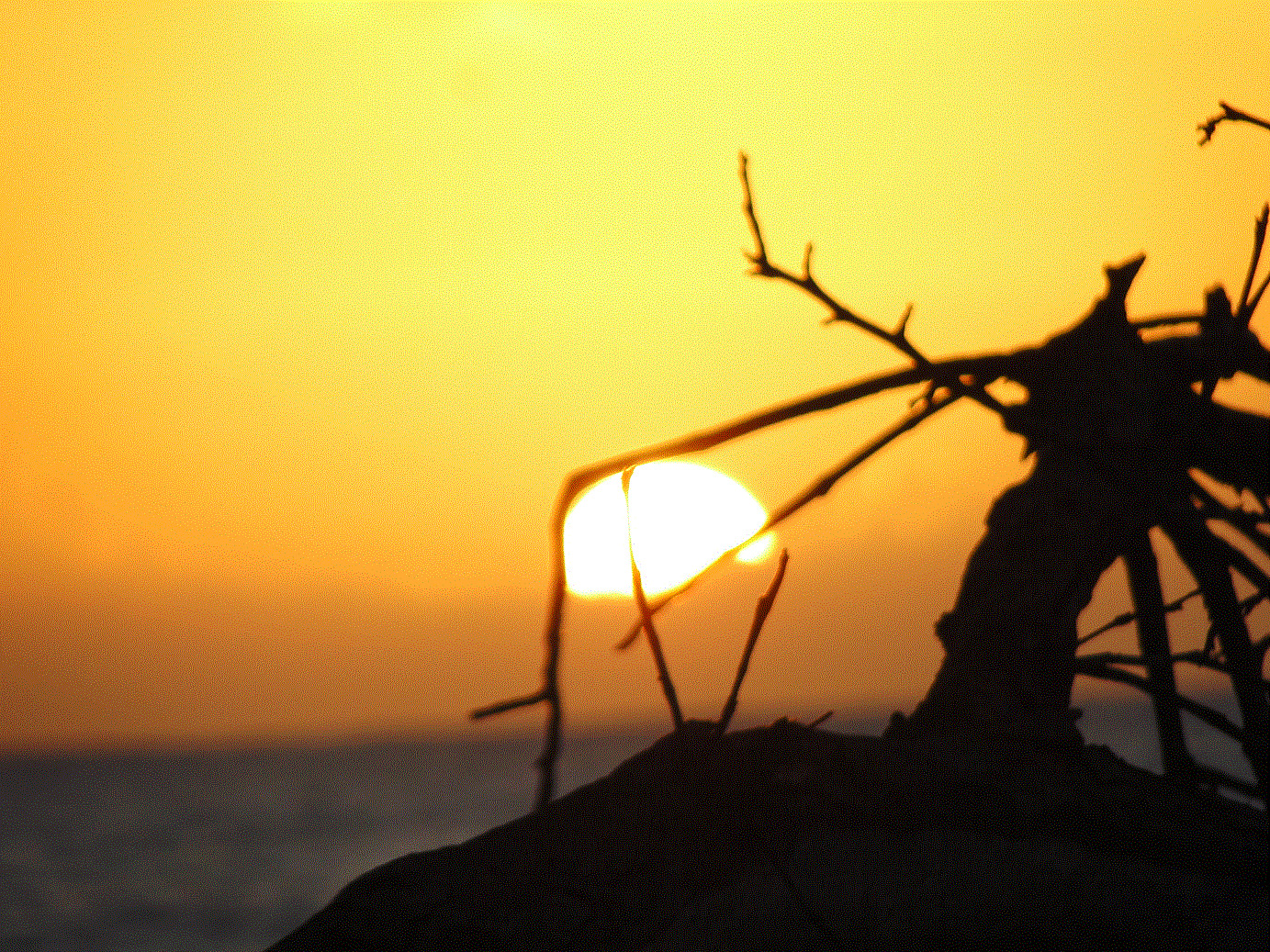 Sunrise @ Patoland, Los Patos