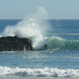 Bodyboarder, Ingrina