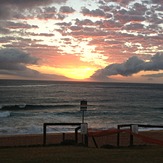 Morning Sunrise, Palm Beach
