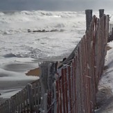 So cold, Plum Island