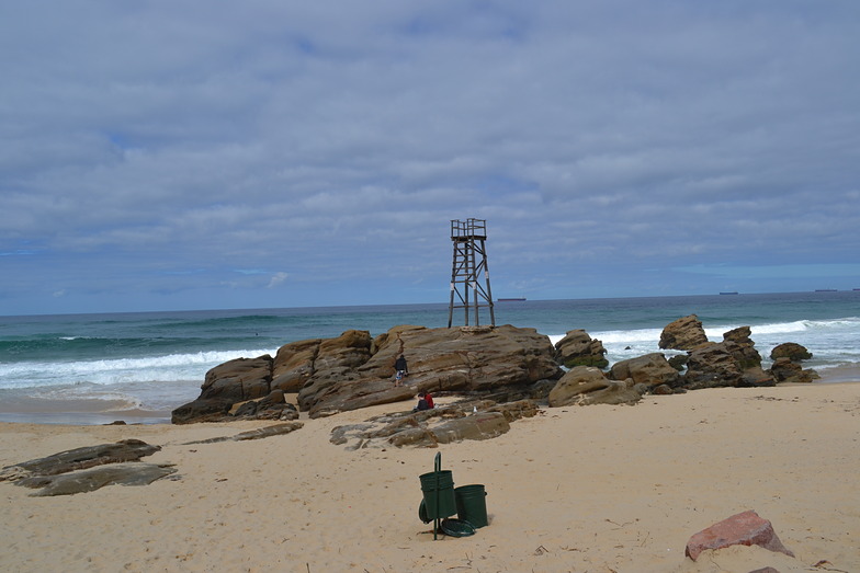 Redhead surf break