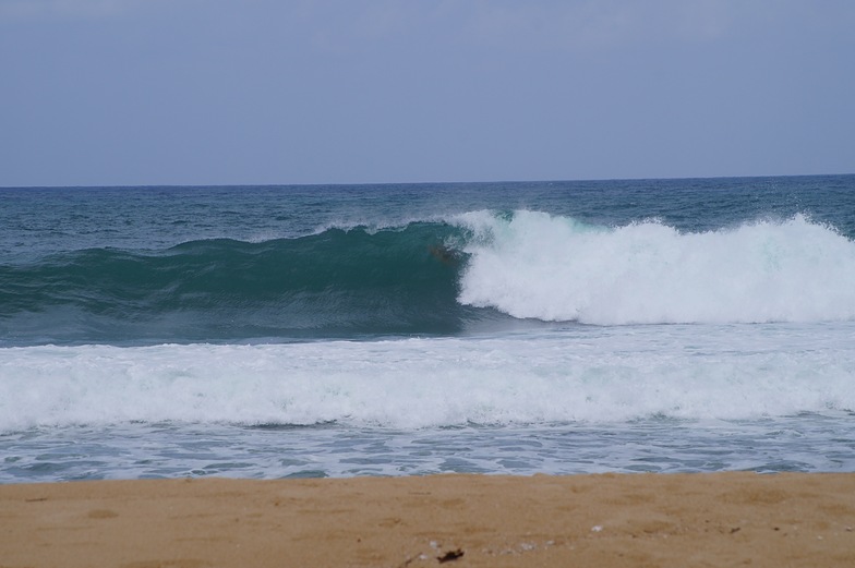 Some local favourite, Tioman Island