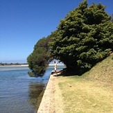 Tube, Mallacoota