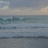 surfer, Freights