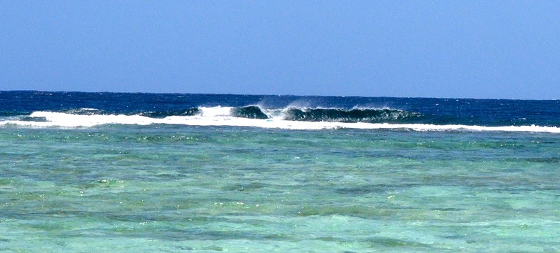 Erakor Island Reef Coral Left's