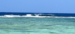 Erakor Island Reef Coral Left's photo