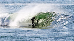 Shark, Big Rock photo