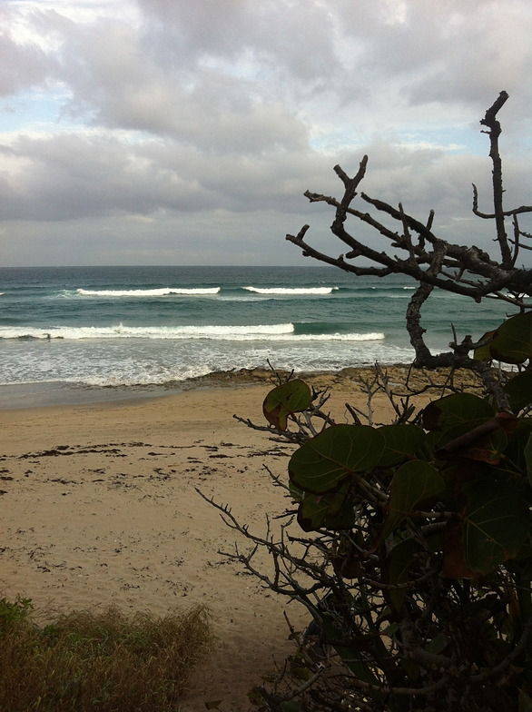 Jap Rock surf break