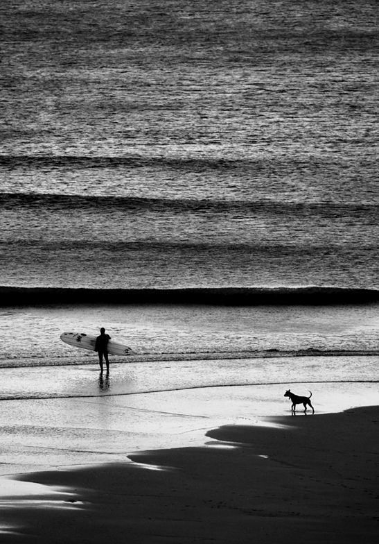 Surfer and Dog, Cowells Cove