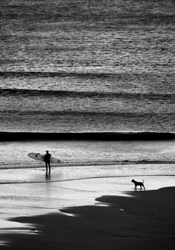 Surfer and Dog, Cowells Cove photo