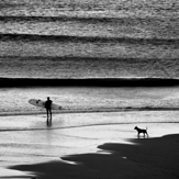 Surfer and Dog, Cowells Cove