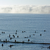 The wait..., Cowells Cove