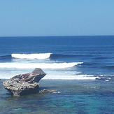 chicken mid tide, Chicken Reef