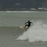 the Reef, Napier - The Reef